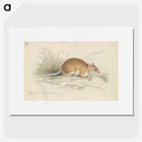 1-64_Charles-Hamilton-Smith_picture