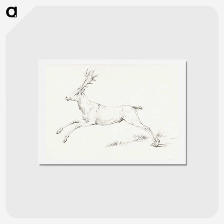 1-64_Christmas_hagaki