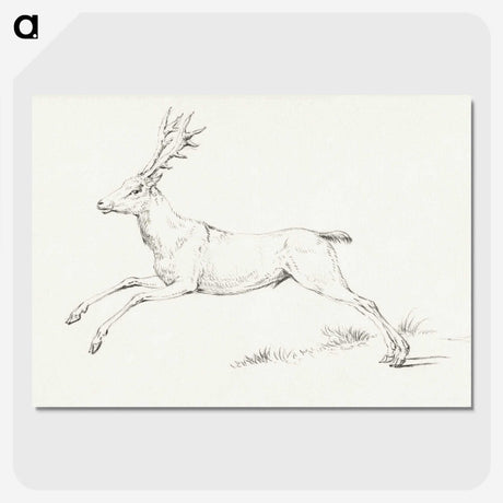 1-64_Christmas_picture-crop