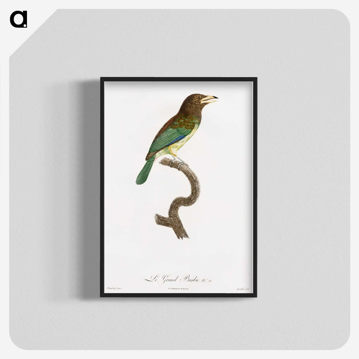 1-64_Des-Oiseaux-de-Paradis_blk-crop