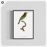 1-64_Des-Oiseaux-de-Paradis_blk-crop