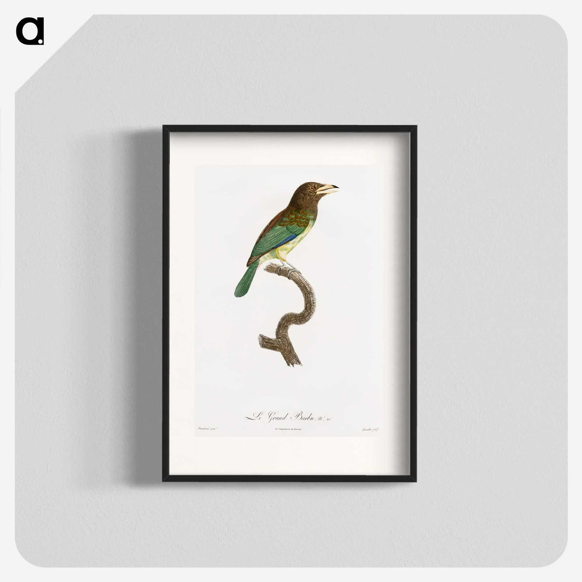 1-64_Des-Oiseaux-de-Paradis_blk