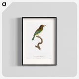 1-64_Des-Oiseaux-de-Paradis_blk