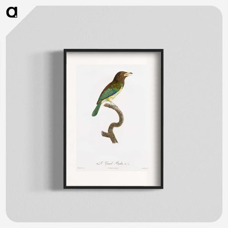 1-64_Des-Oiseaux-de-Paradis_blk