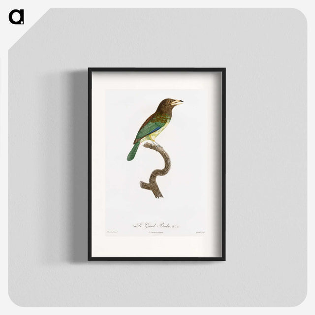 1-64_Des-Oiseaux-de-Paradis_blk