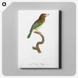 1-64_Des-Oiseaux-de-Paradis_canvas