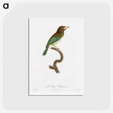 1-64_Des-Oiseaux-de-Paradis_hagaki