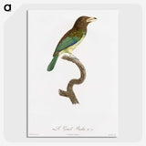 1-64_Des-Oiseaux-de-Paradis_picture-crop