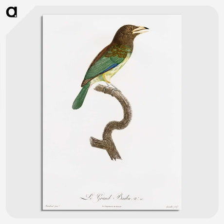 1-64_Des-Oiseaux-de-Paradis_picture-crop