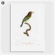 1-64_Des-Oiseaux-de-Paradis_picture
