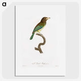 1-64_Des-Oiseaux-de-Paradis_picture