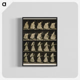 1-64_Eadweard-Muybridge_blk-crop