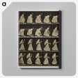 1-64_Eadweard-Muybridge_canvas