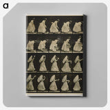 1-64_Eadweard-Muybridge_canvas