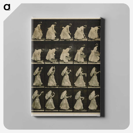1-64_Eadweard-Muybridge_canvas