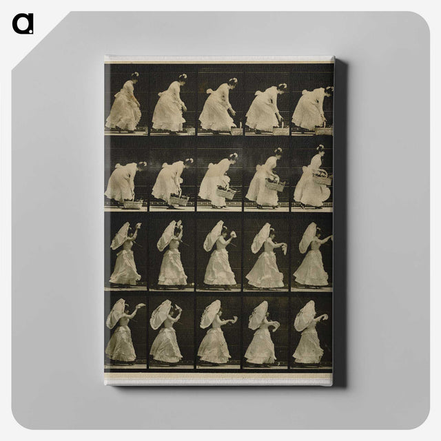 1-64_Eadweard-Muybridge_canvas