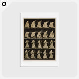アートポストカード-Woman with Basket and Handkerchief
 - エドワード マイブリッジ Postcard.