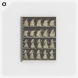 1-64_Eadweard-Muybridge_memo