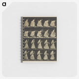 1-64_Eadweard-Muybridge_memo