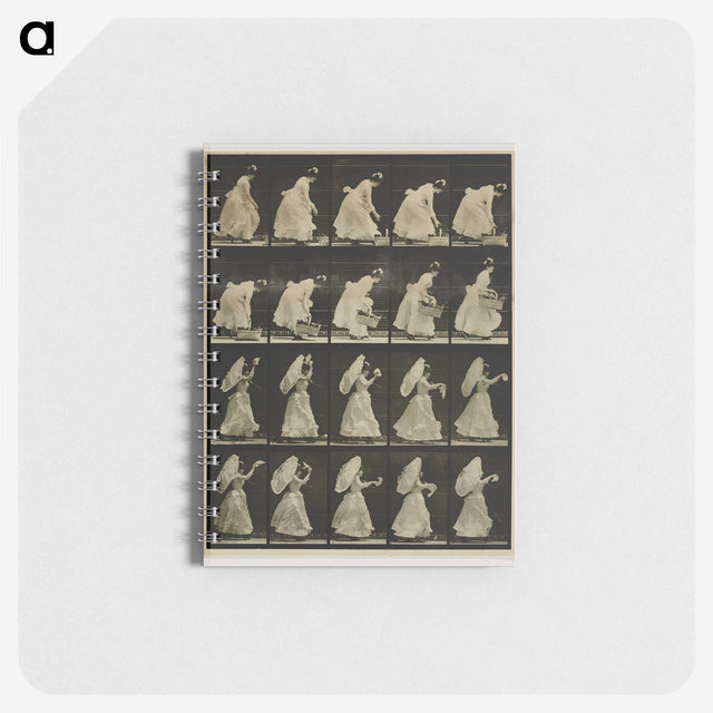 1-64_Eadweard-Muybridge_memo