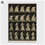 1-64_Eadweard-Muybridge_picture-crop