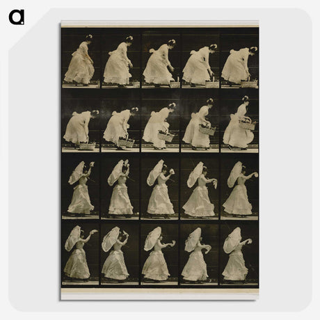 1-64_Eadweard-Muybridge_picture-crop