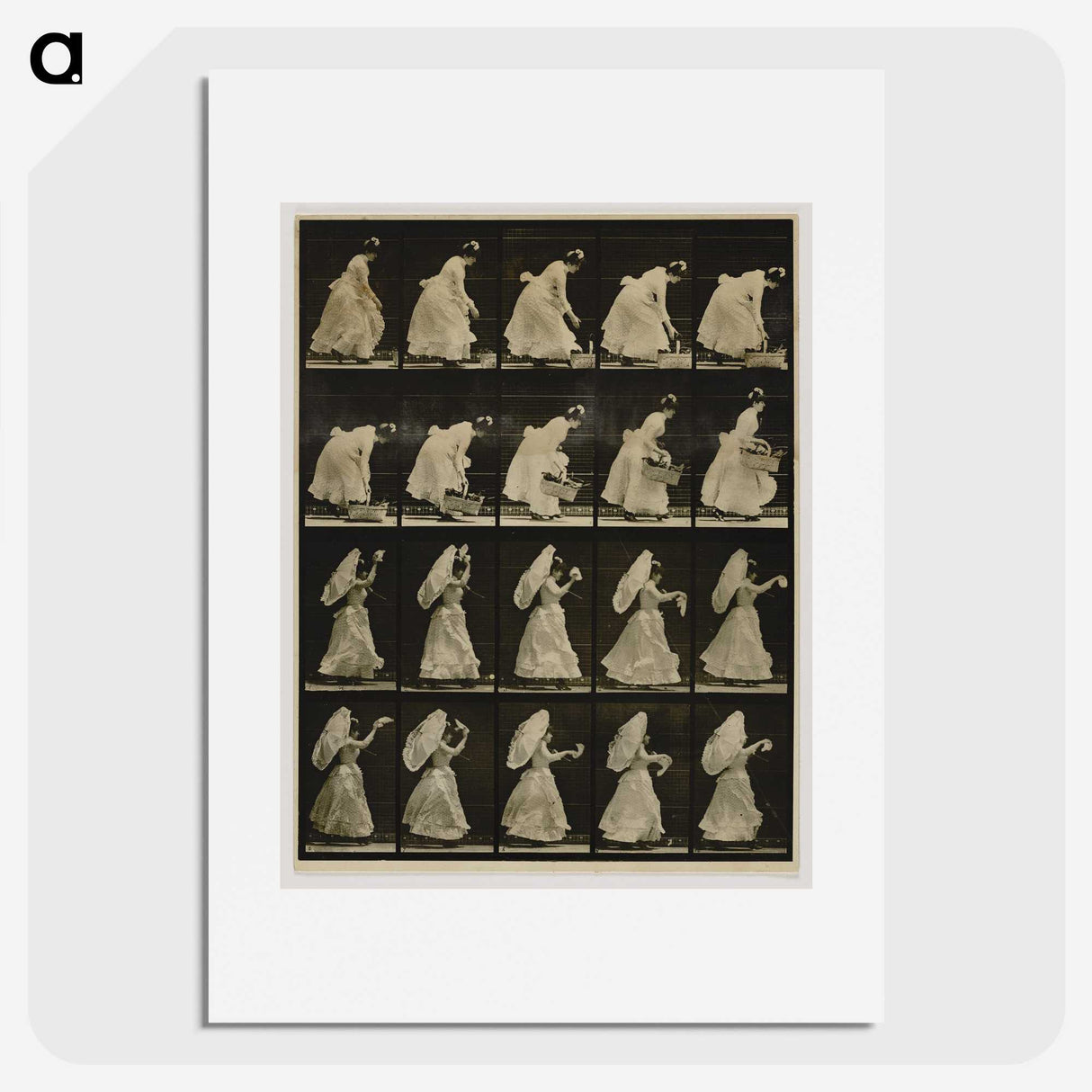 1-64_Eadweard-Muybridge_picture