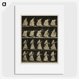 1-64_Eadweard-Muybridge_picture
