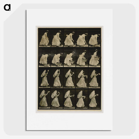 1-64_Eadweard-Muybridge_picture