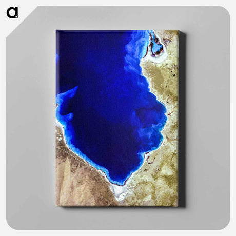 アートパネル-Hamelin Pool Marine Nature Reserve
 - 上空からの地球 Canvas.