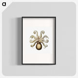 1-64_Ernst-Haeckel_blk