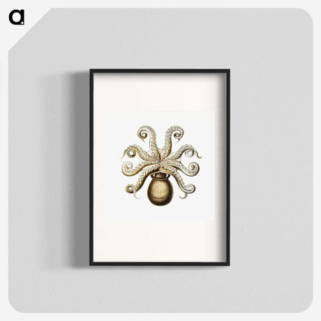 1-64_Ernst-Haeckel_blk