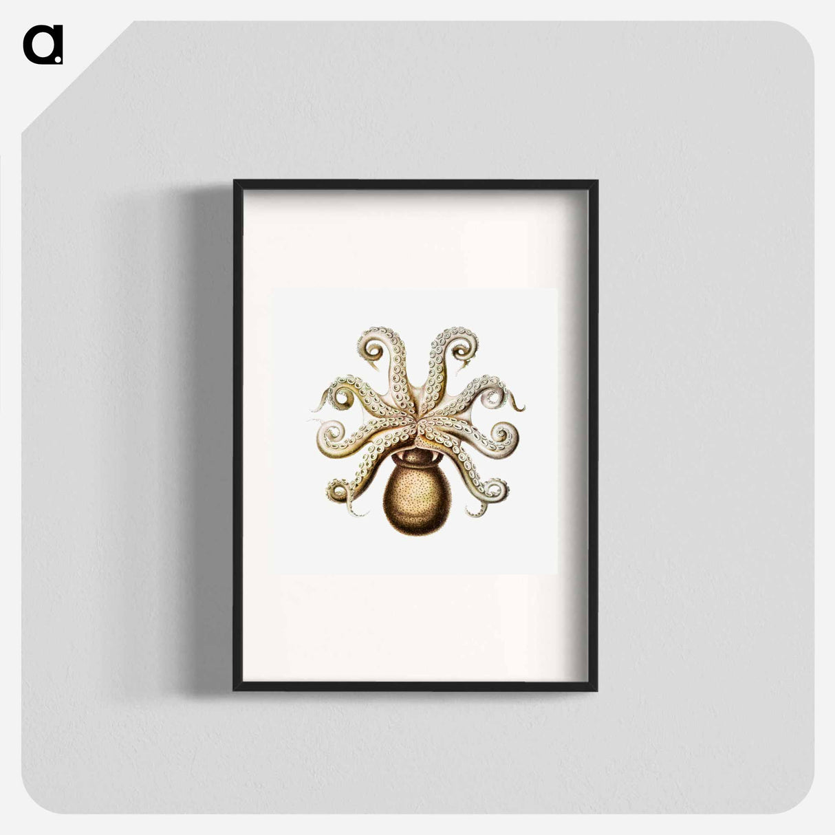 Vintage octopus marine life illustration - エルンスト ヘッケル Poster.