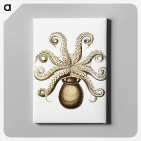 1-64_Ernst-Haeckel_canvas