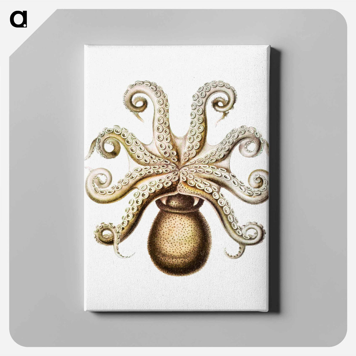 Vintage octopus marine life illustration - エルンスト ヘッケル Canvas.