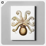 Vintage octopus marine life illustration - エルンスト ヘッケル Canvas.