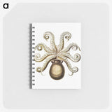 1-64_Ernst-Haeckel_memo