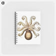 アートメモ帳-Vintage octopus marine life illustration - エルンスト ヘッケル Memo.