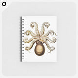 アートメモ帳-Vintage octopus marine life illustration - エルンスト ヘッケル Memo.