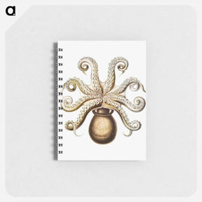 アートメモ帳-Vintage octopus marine life illustration - エルンスト ヘッケル Memo.