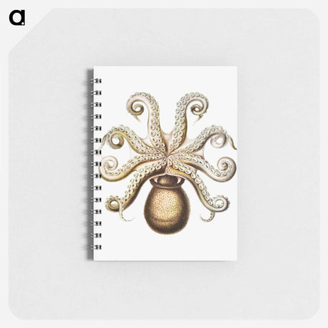 アートメモ帳-Vintage octopus marine life illustration - エルンスト ヘッケル Memo.