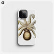 1-64_Ernst-Haeckel_phone