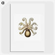 1-64_Ernst-Haeckel_picture