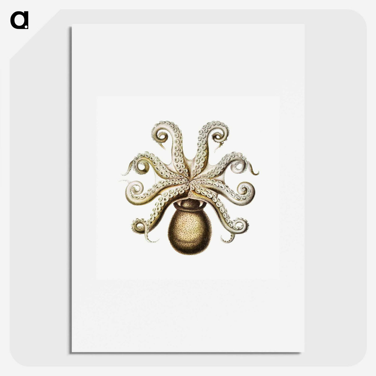 1-64_Ernst-Haeckel_picture