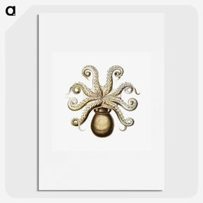 1-64_Ernst-Haeckel_picture