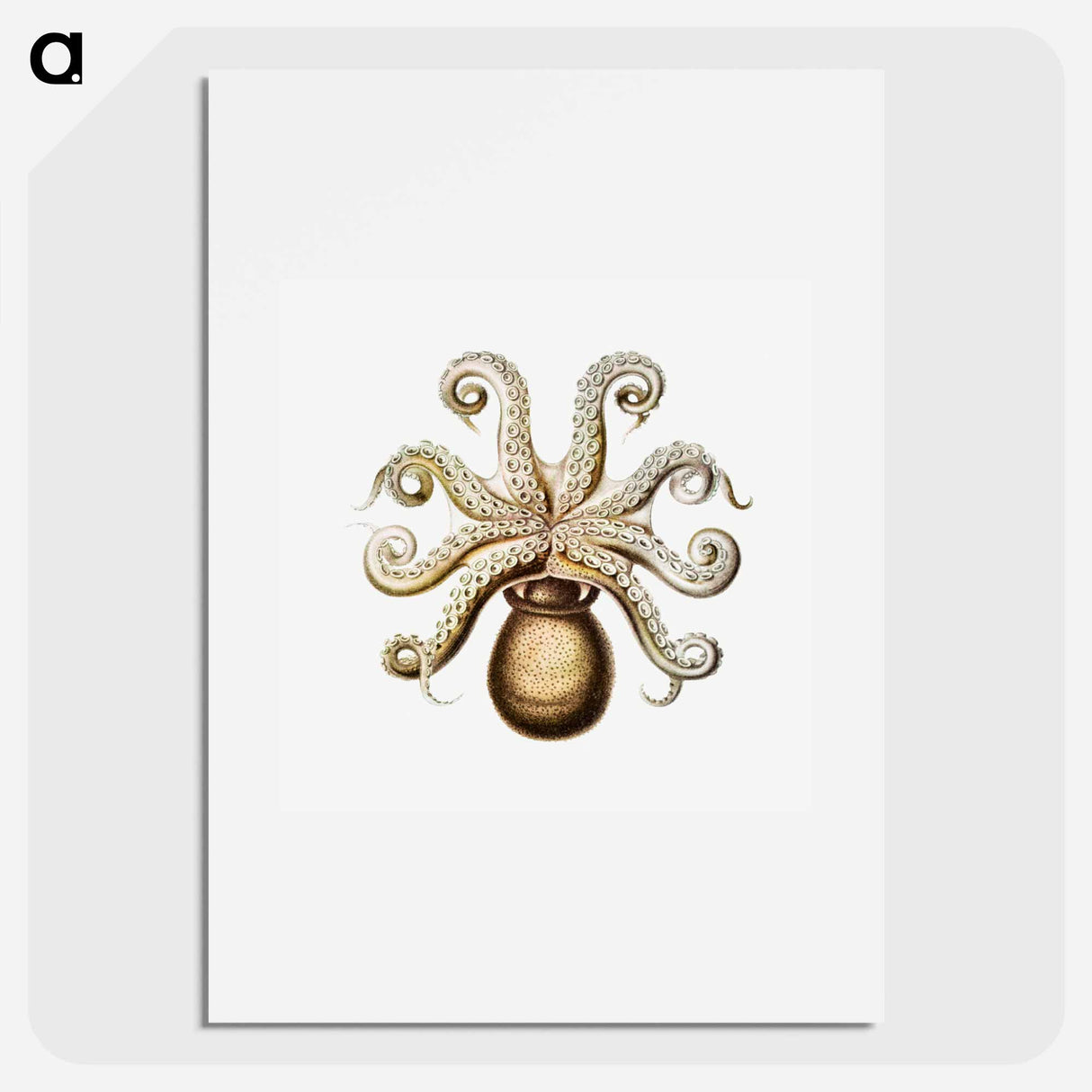 Vintage octopus marine life illustration - エルンスト ヘッケル Poster.