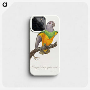 1-64_Francois-Levaillant_phone