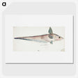 1-64_Frank-Edward-Clarke_picture