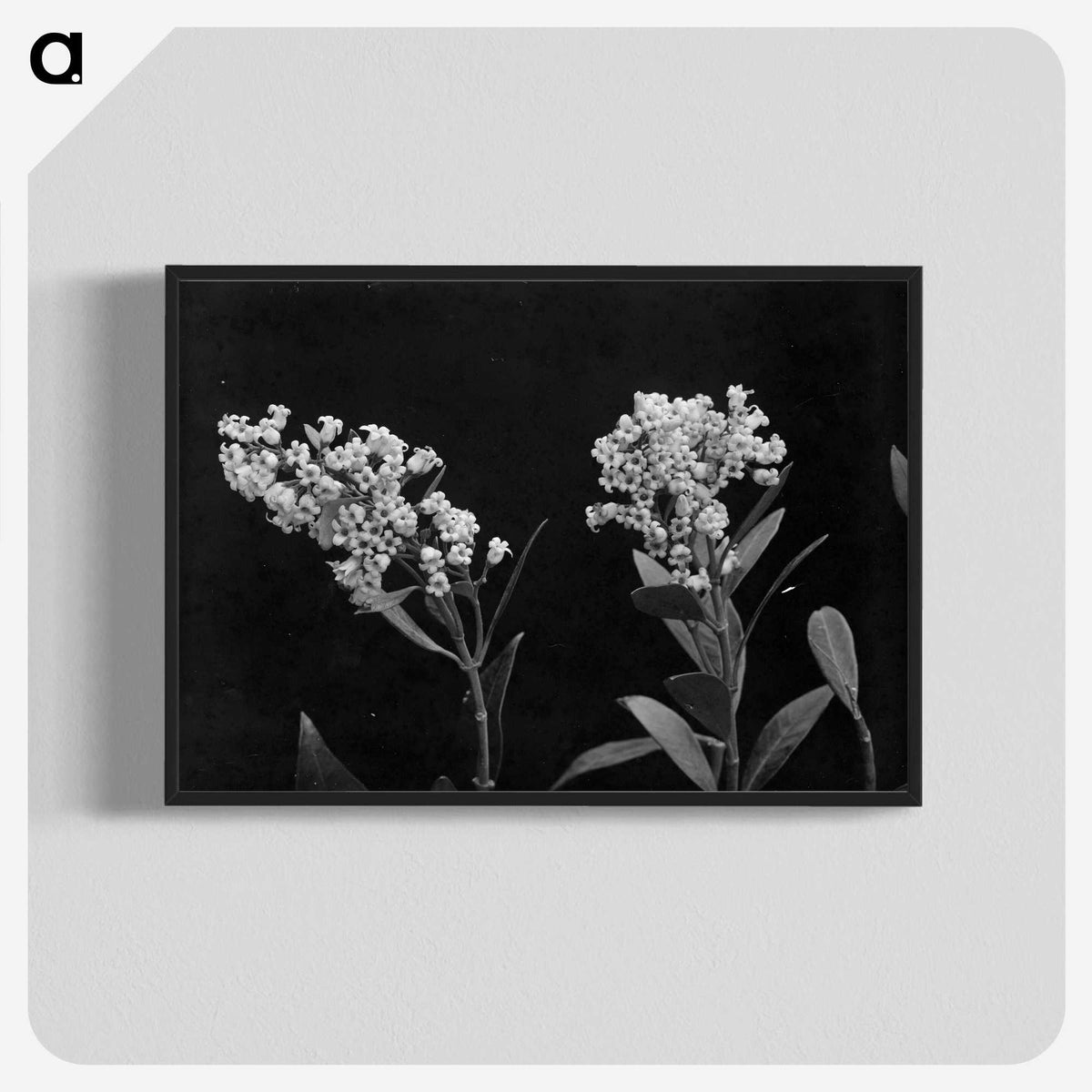 1-64_Frederick-Charles-Brockett_blk-crop