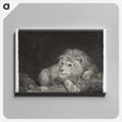 1-64_George-Stubbs_canvas
